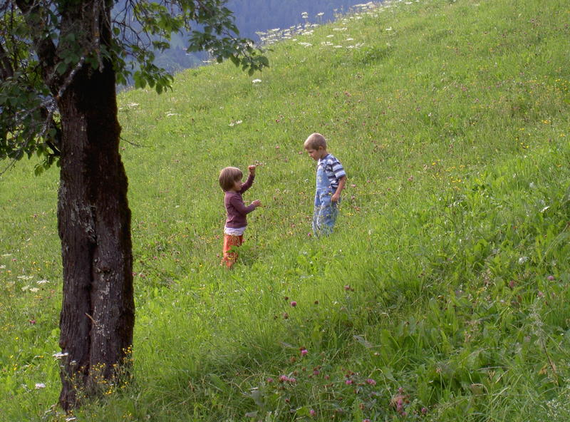 kinder auf wiese