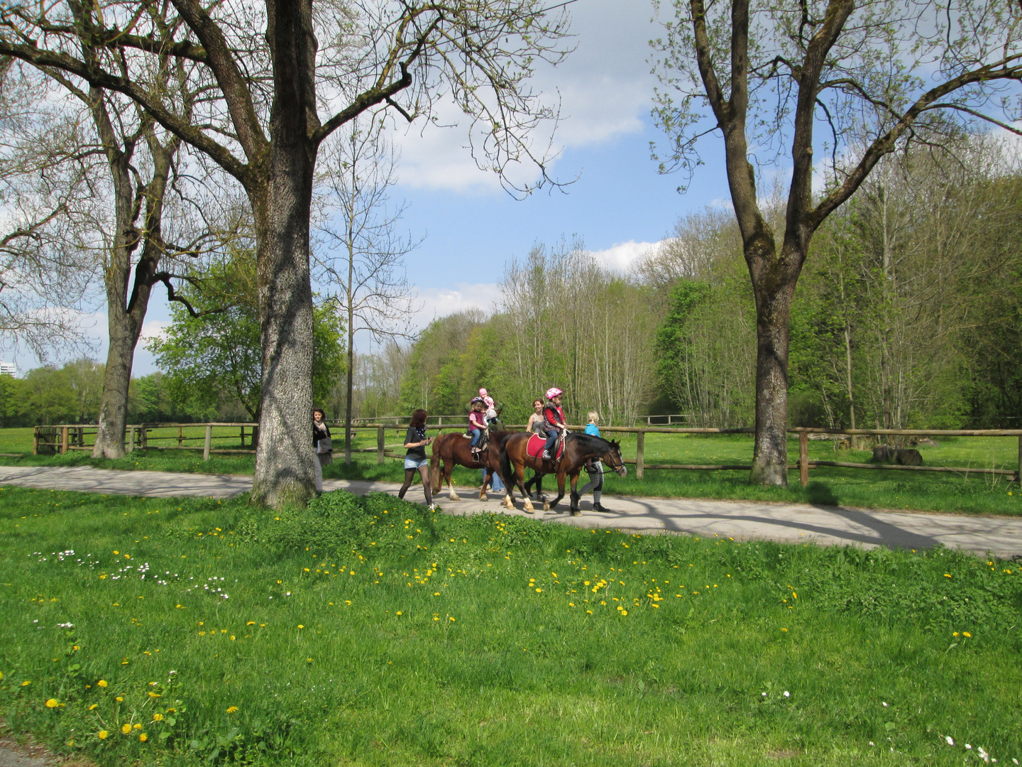 Kinder beim Reiten