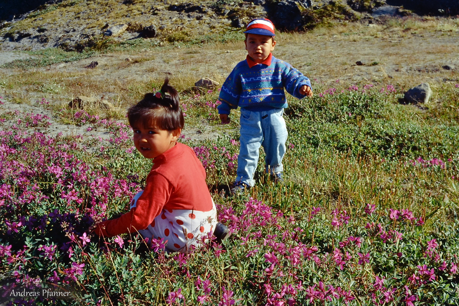 Kinder der arktischen Welt