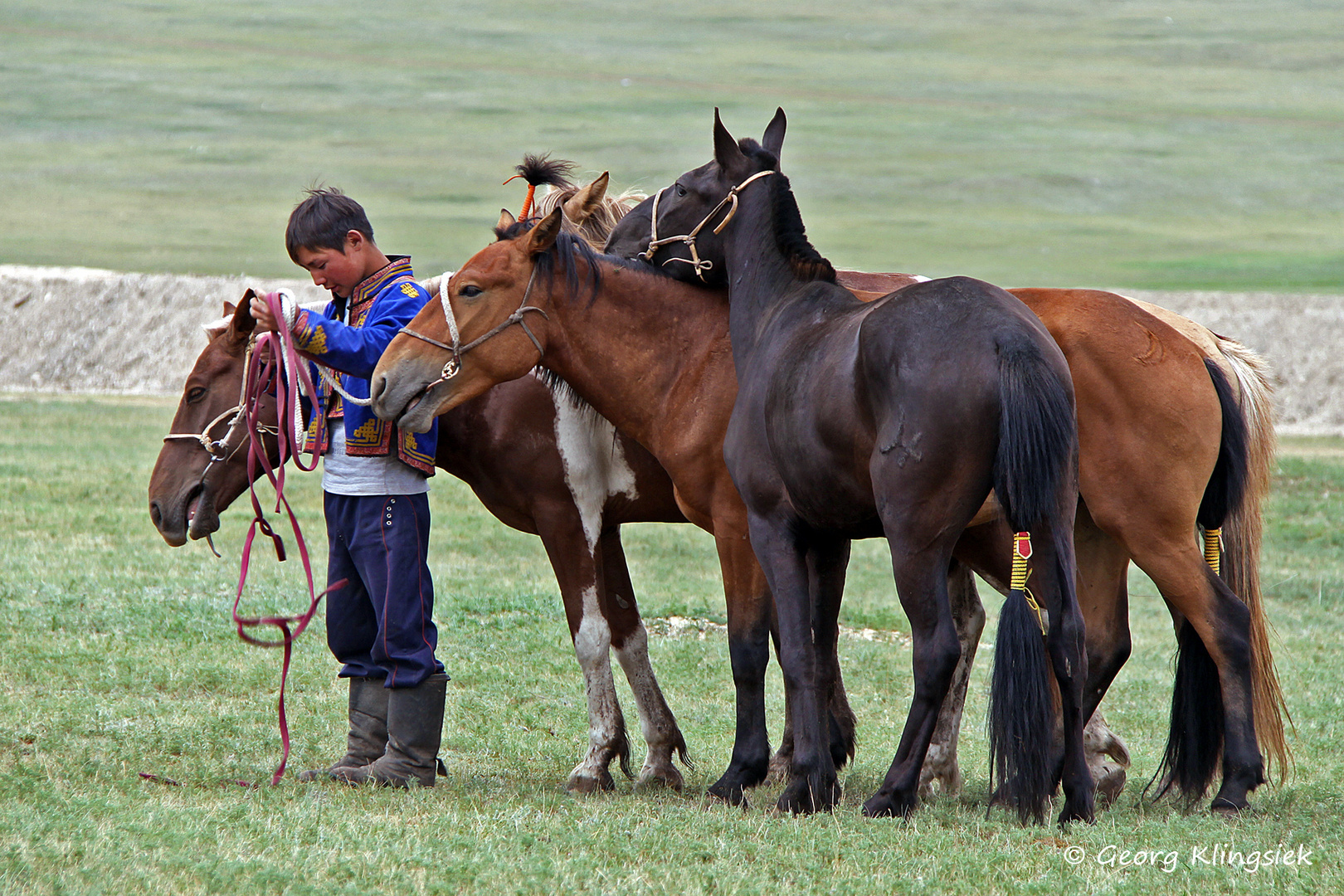 Kinder der Welt: Begegnung in der Mongolei 1