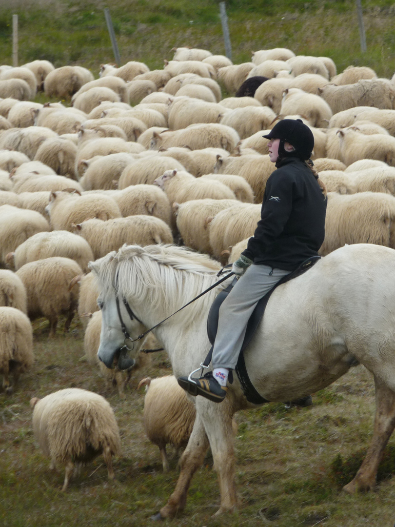 Kinder der Welt: Island