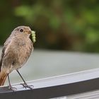 Kinder, habt Ihr Hunger?