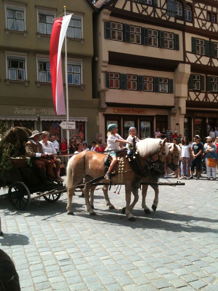 Kinder hoch zu Ross