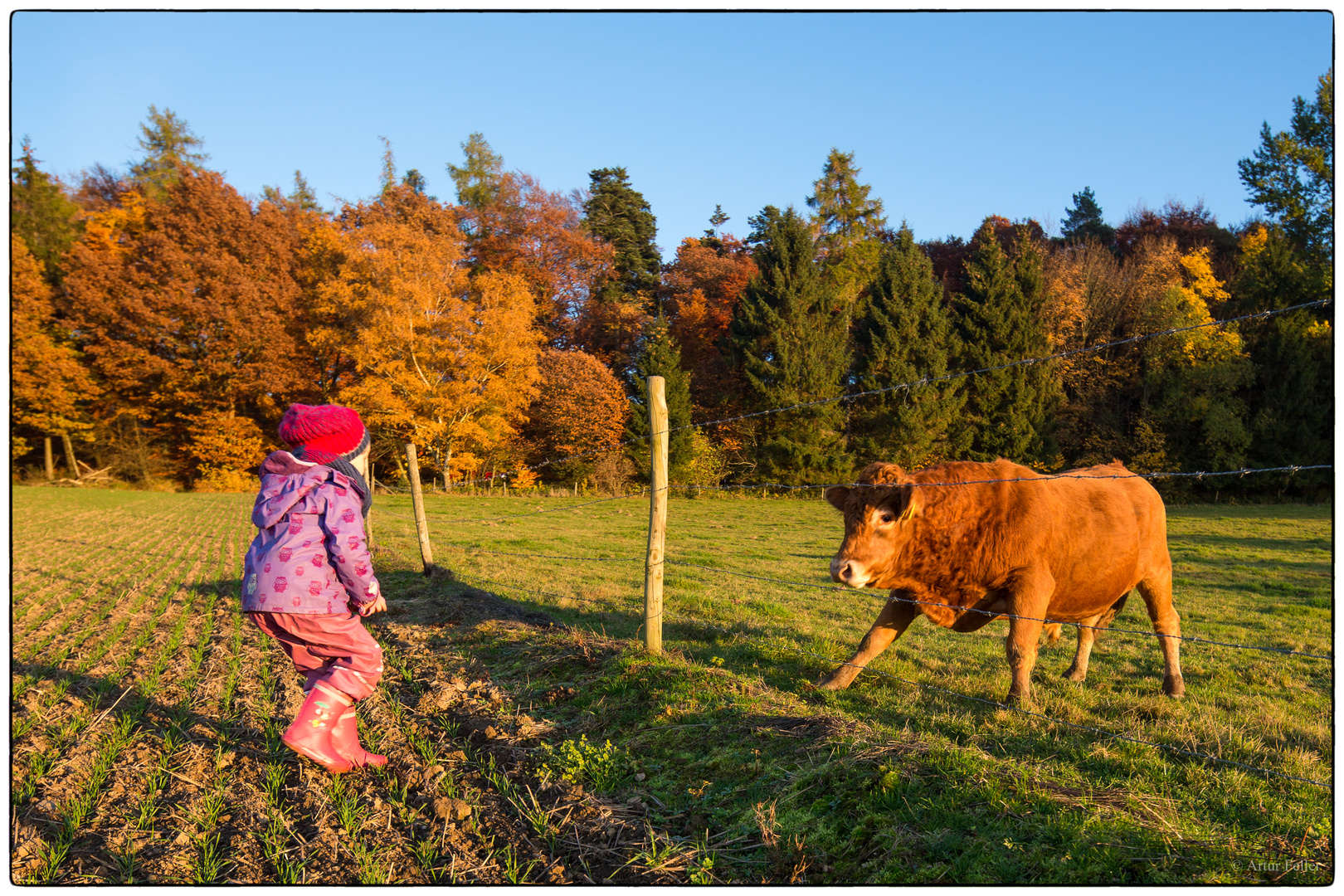 Kinder I Kinder