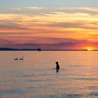 Kinder im Bodensee bei Sonnenuntergang 