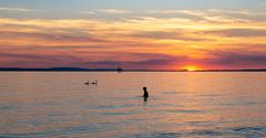 Kinder im Bodensee bei Sonnenuntergang 