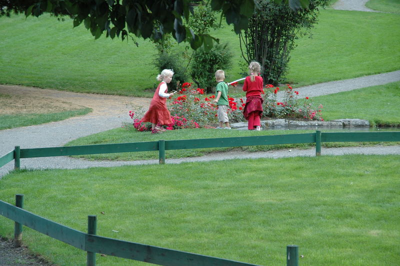 Kinder im Park