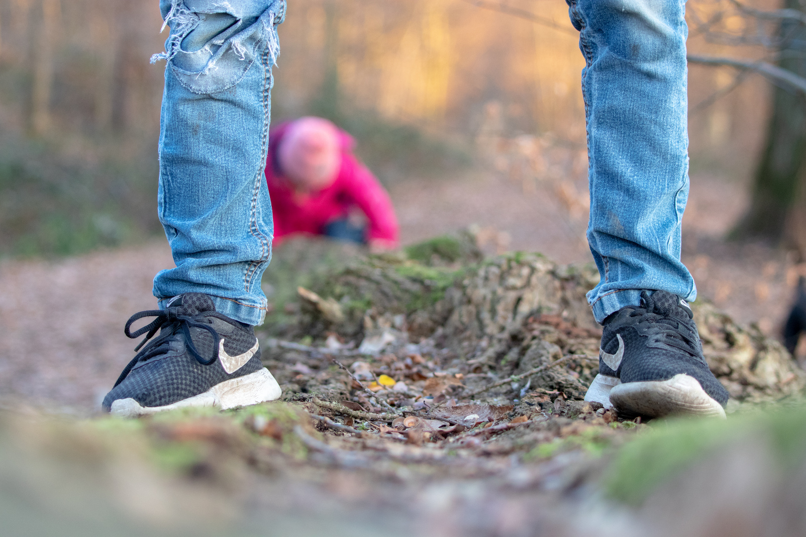 kinder im wald