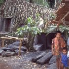 Kinder in einem Dörfchen im Torajaland auf Sulawesi - Indonesien