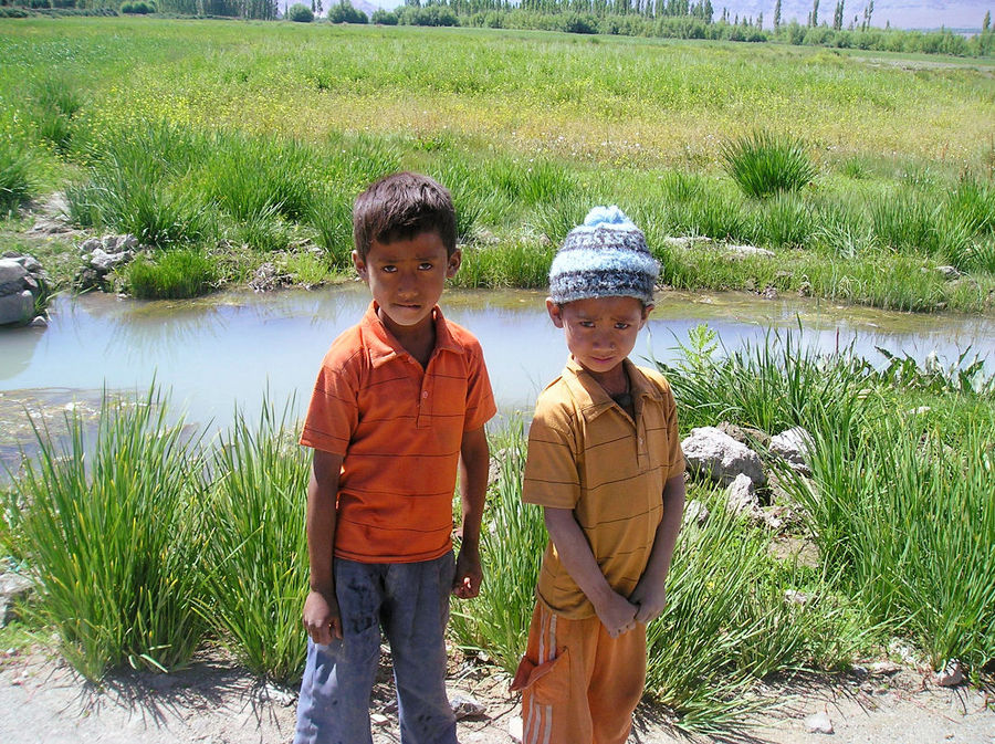 Kinder in Ladakh, Nordindien 1
