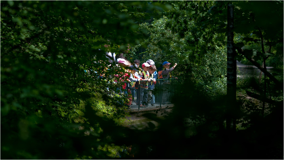 Kinder in Zoo