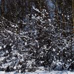 kinder, jetzt haben wir winter