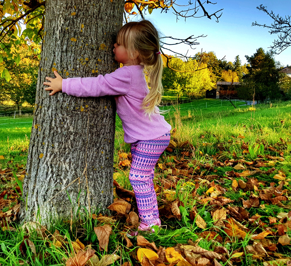 Kinder lieben die Natur