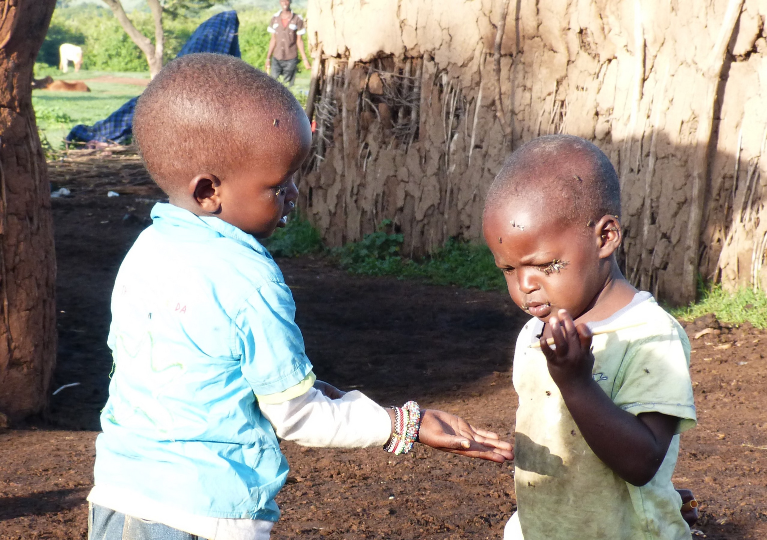 kinder , massai