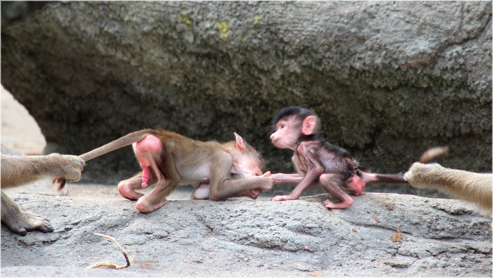 Kinder mit Haltegriff