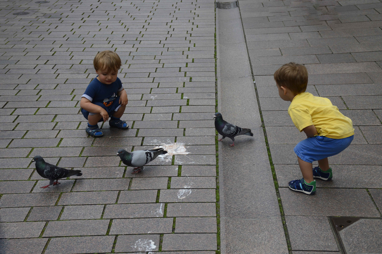 Kinder mit Tauben oder "Tauben vergiften im Park"