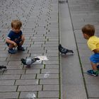 Kinder mit Tauben oder "Tauben vergiften im Park"