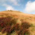 Kinder Scout 1