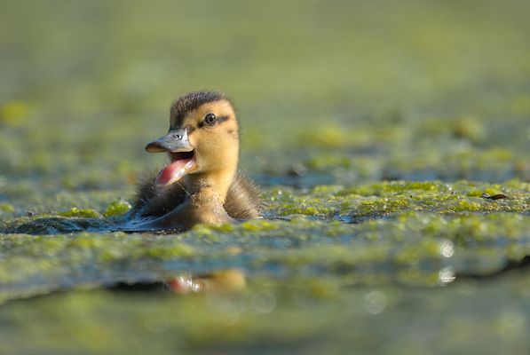 Kinder spielen gerne im Dreck