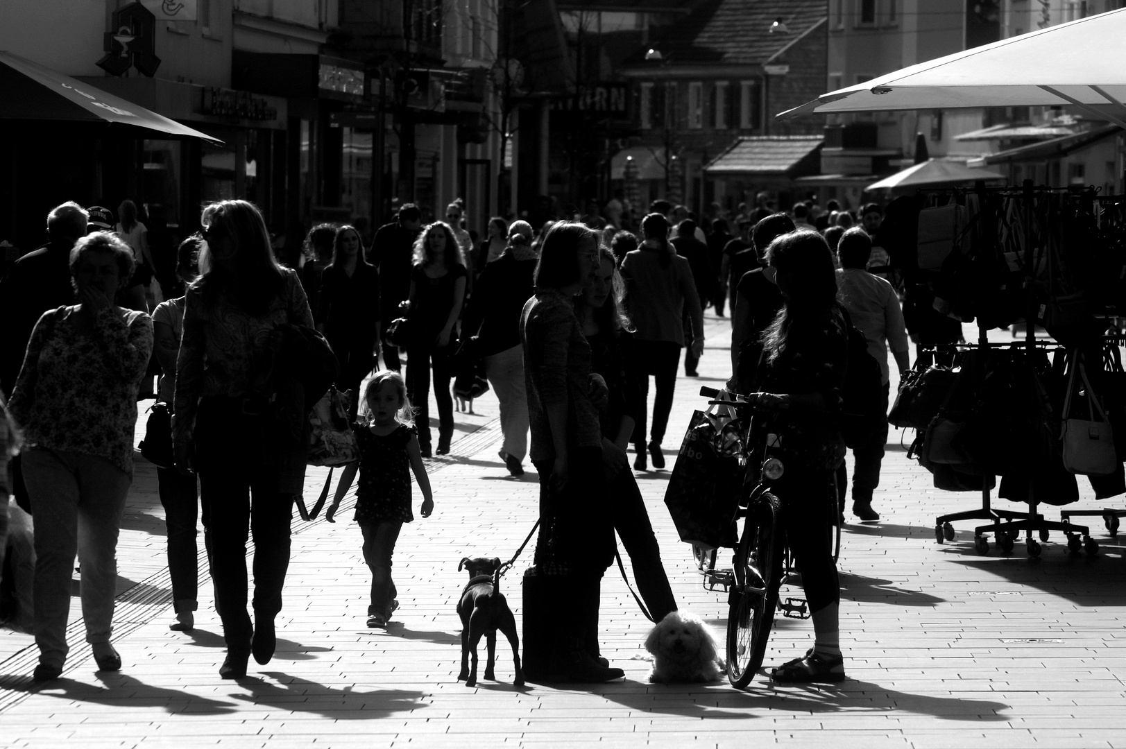 "kinder und tiere gehen immer"