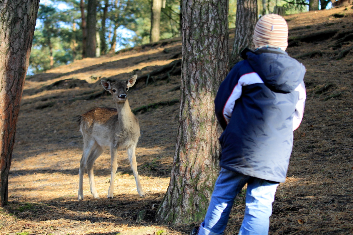 Kinder unter sich