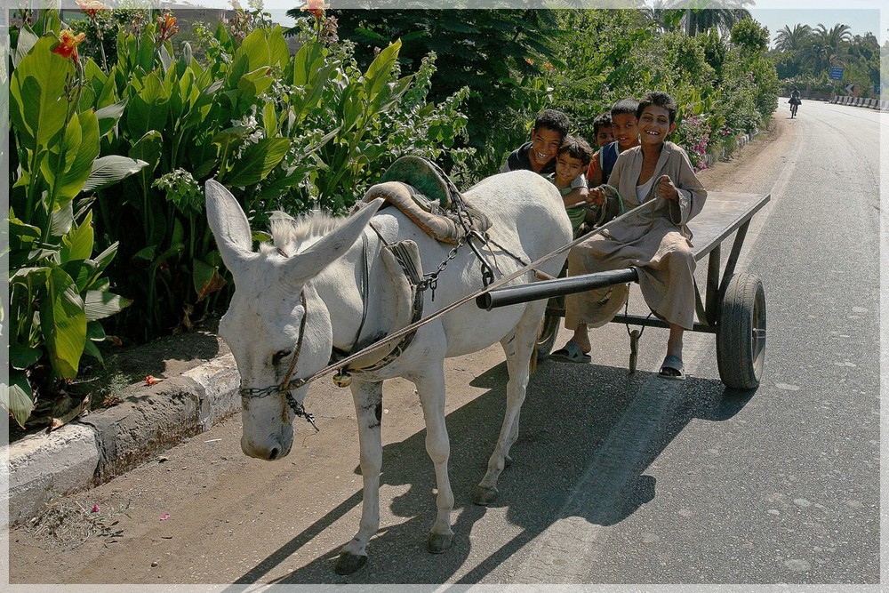 Kinder unterwegs in Ägypten