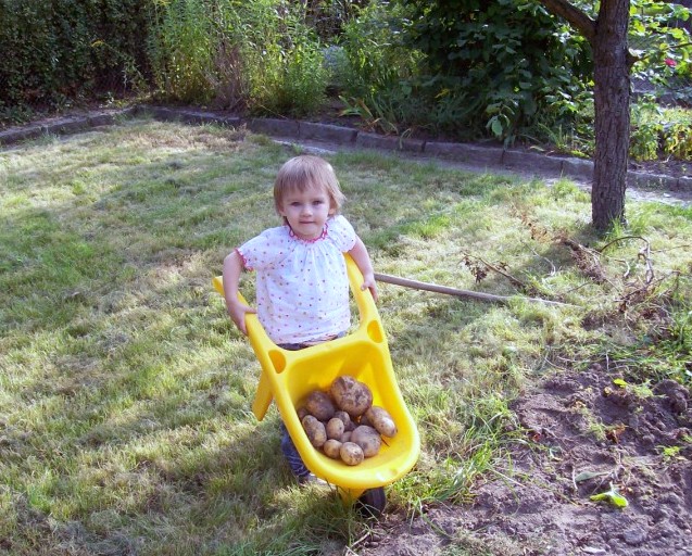 Kinderarbeit:-)