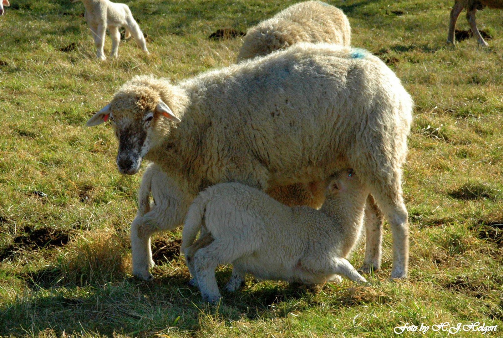 "Kinder,die Baar ist geöffnet."