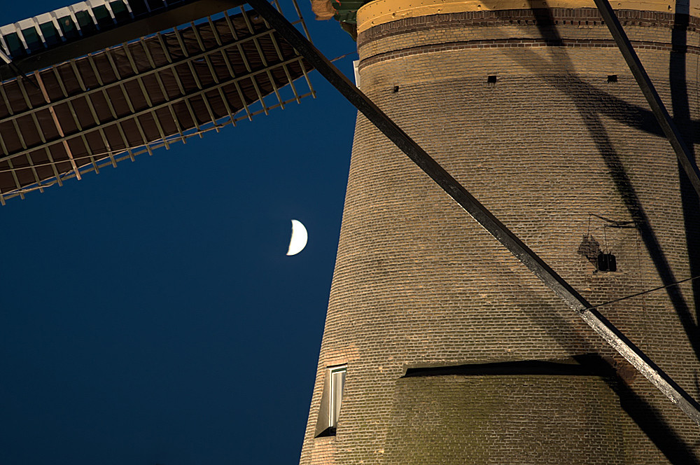 Kinderdijk 03