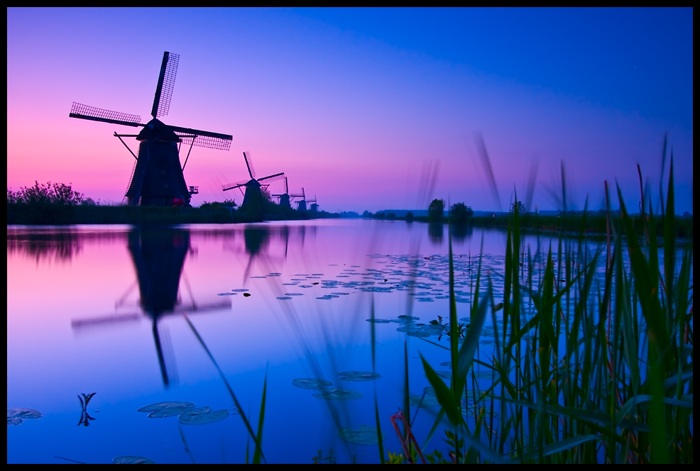 Kinderdijk