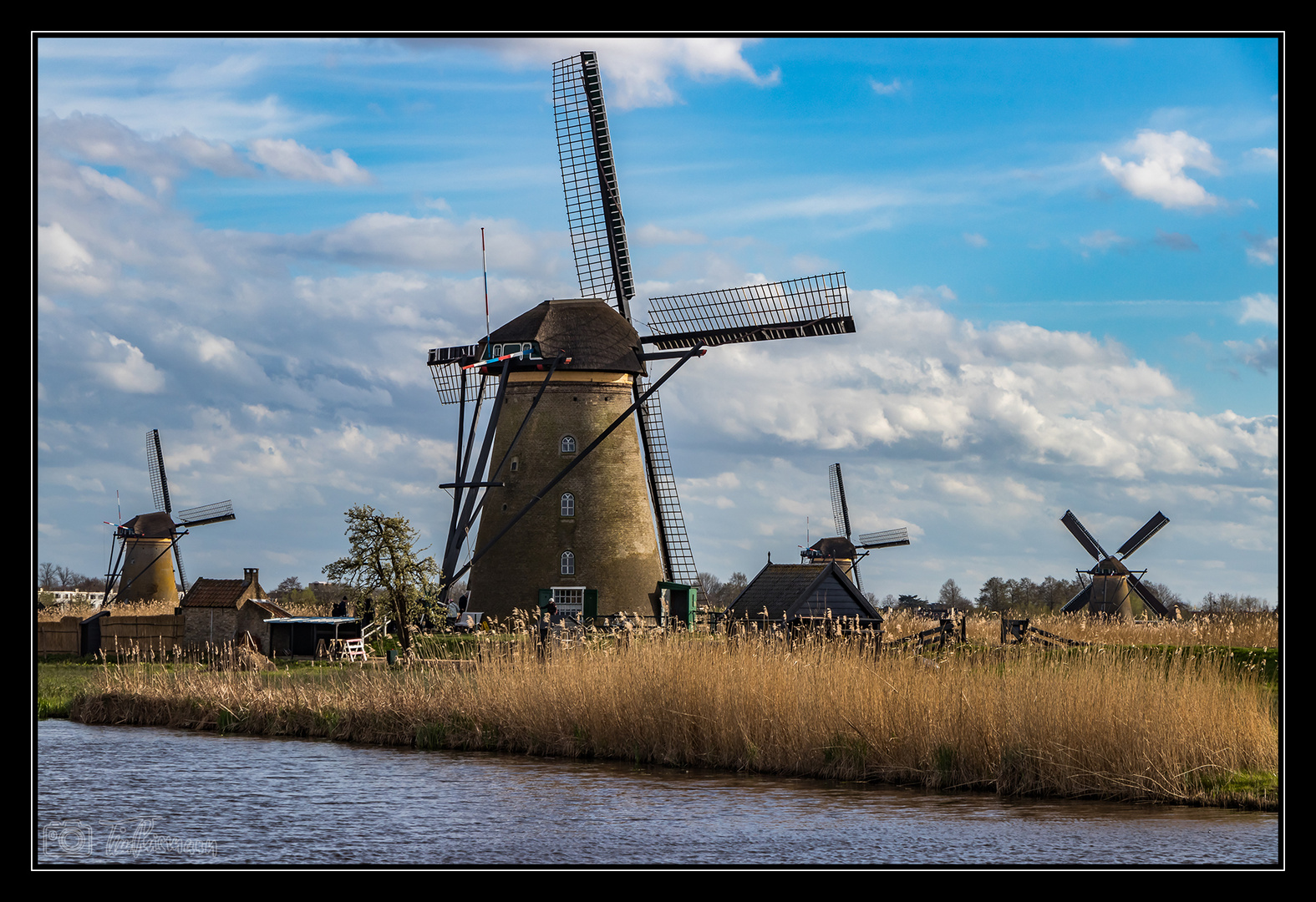 Kinderdijk #2