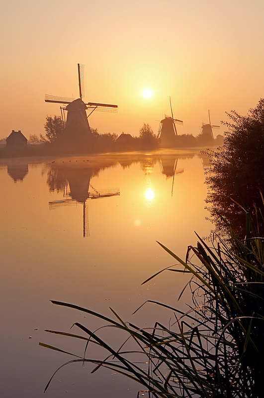 kinderdijk 2