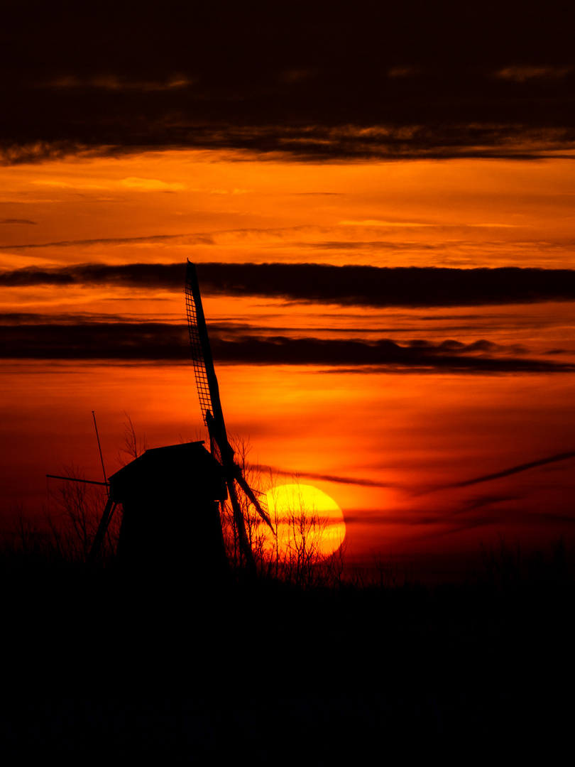 Kinderdijk 2