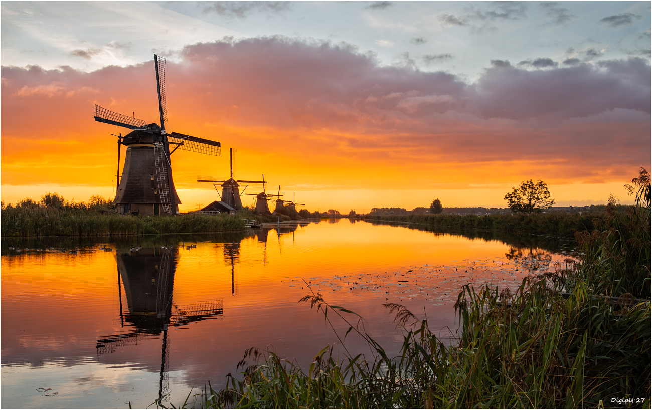 Kinderdijk 2022-02