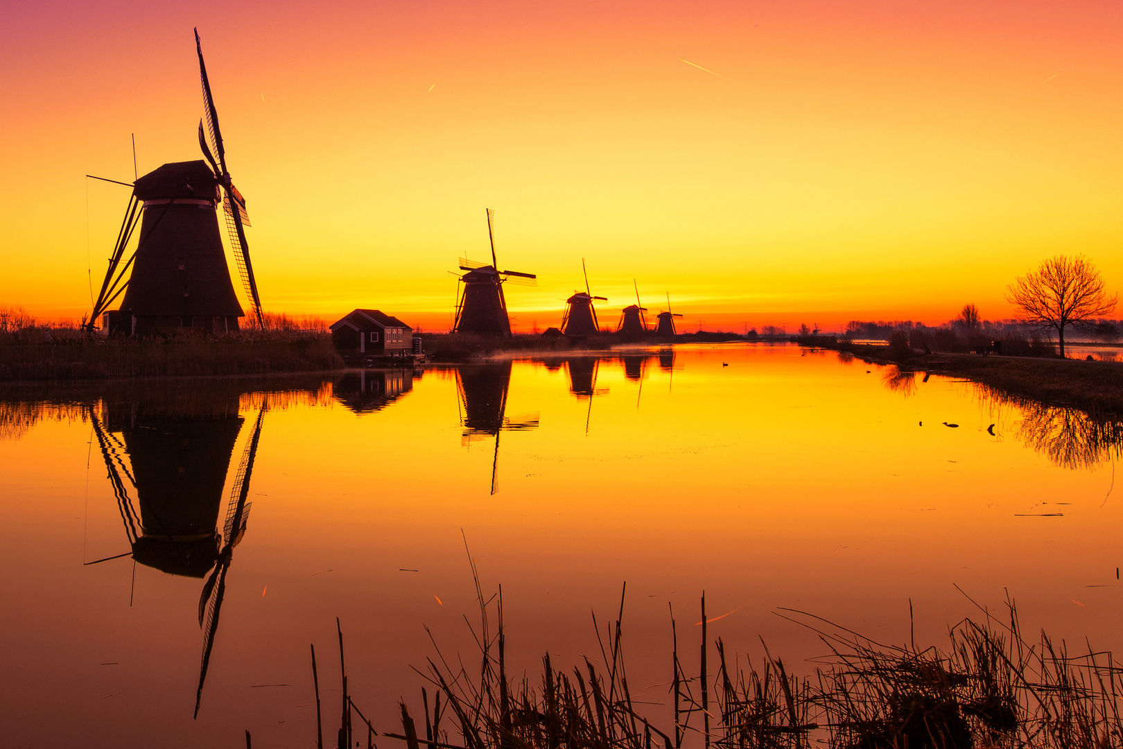 Kinderdijk