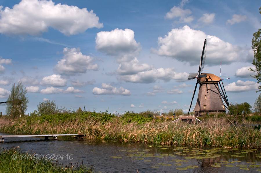 kinder.dijk