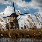 Kinderdijk 3