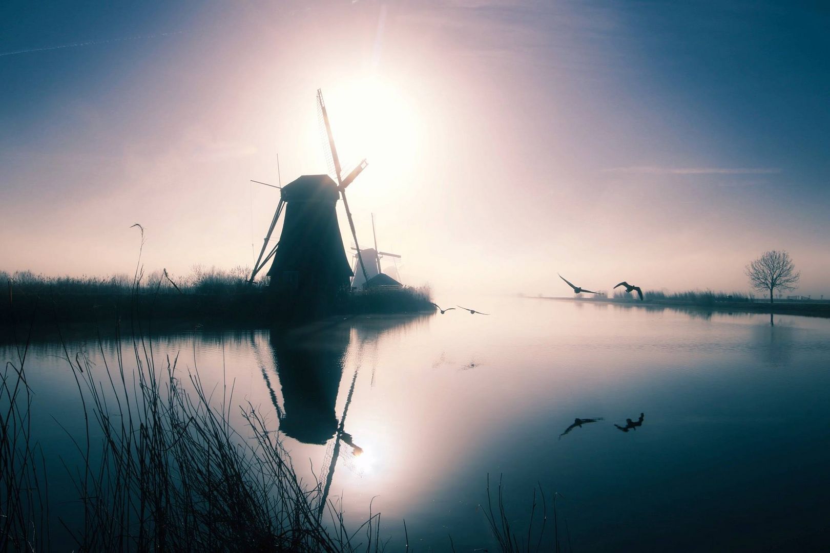 Kinderdijk