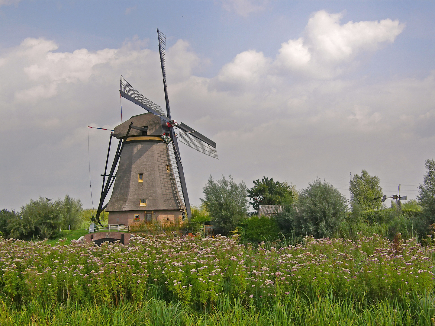 Kinderdijk (4)