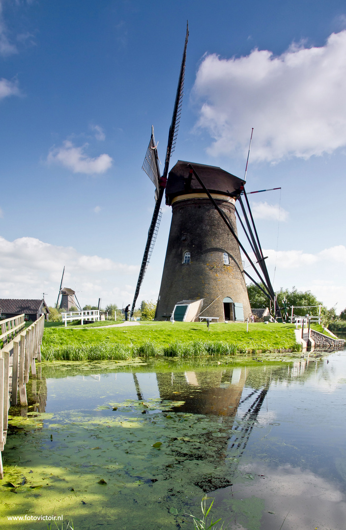 Kinderdijk