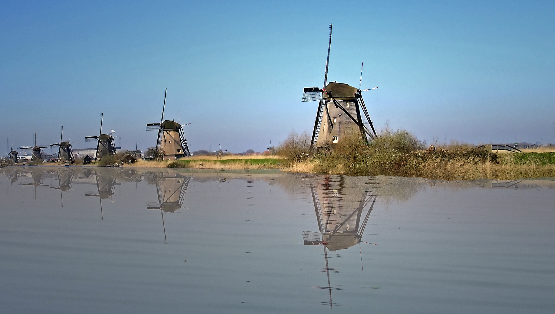 Kinderdijk (5)