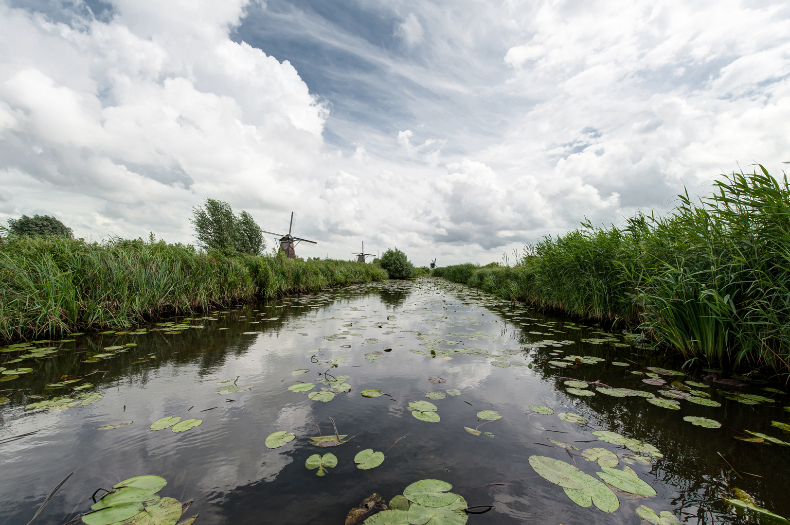 Kinderdijk