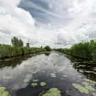 Kinderdijk