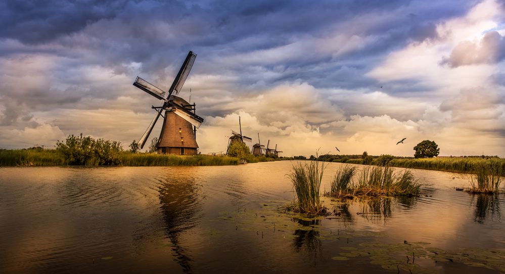 Kinderdijk