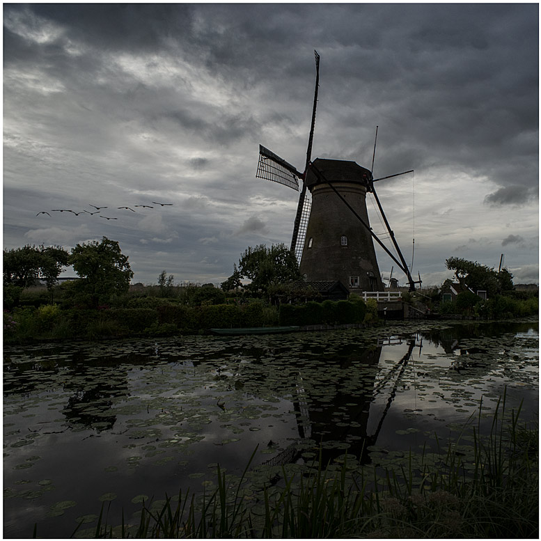 kinderdijk