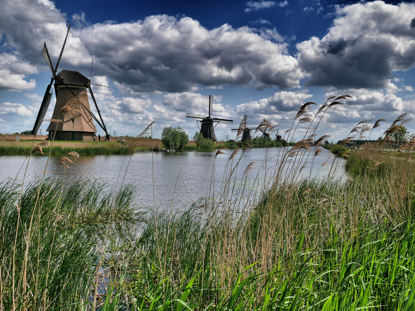 Kinderdijk