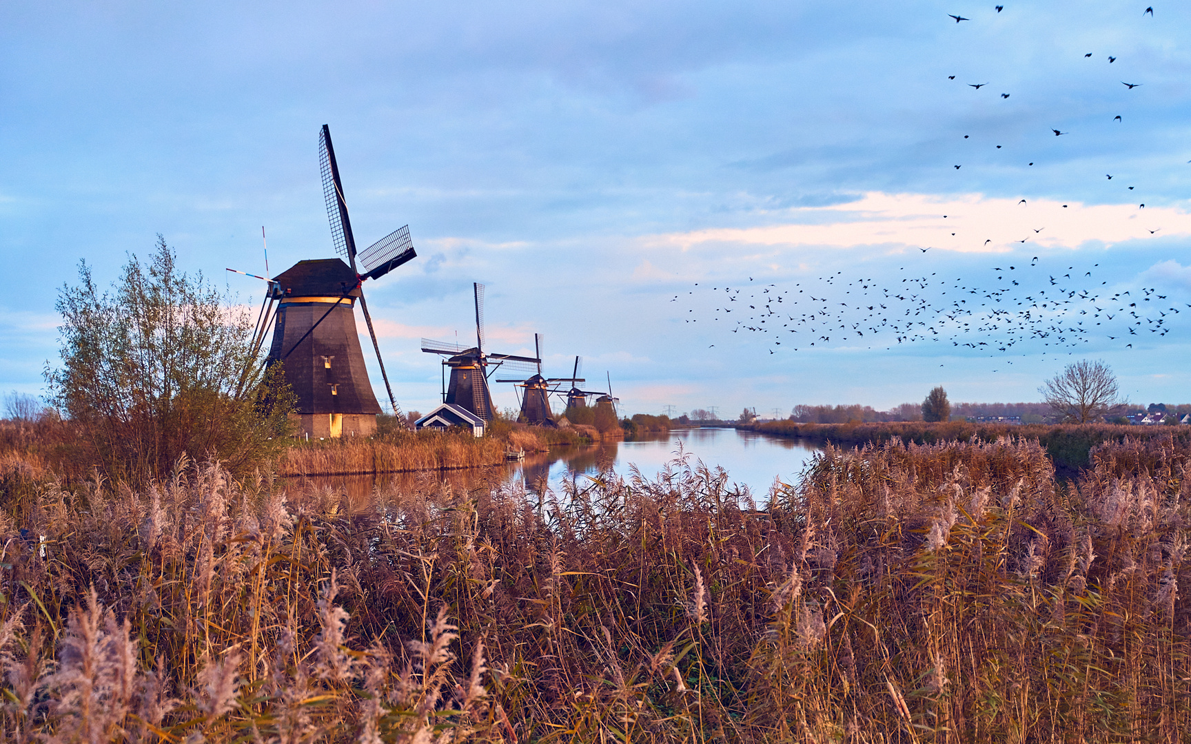 Kinderdijk