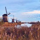 Kinderdijk