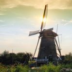 Kinderdijk ........