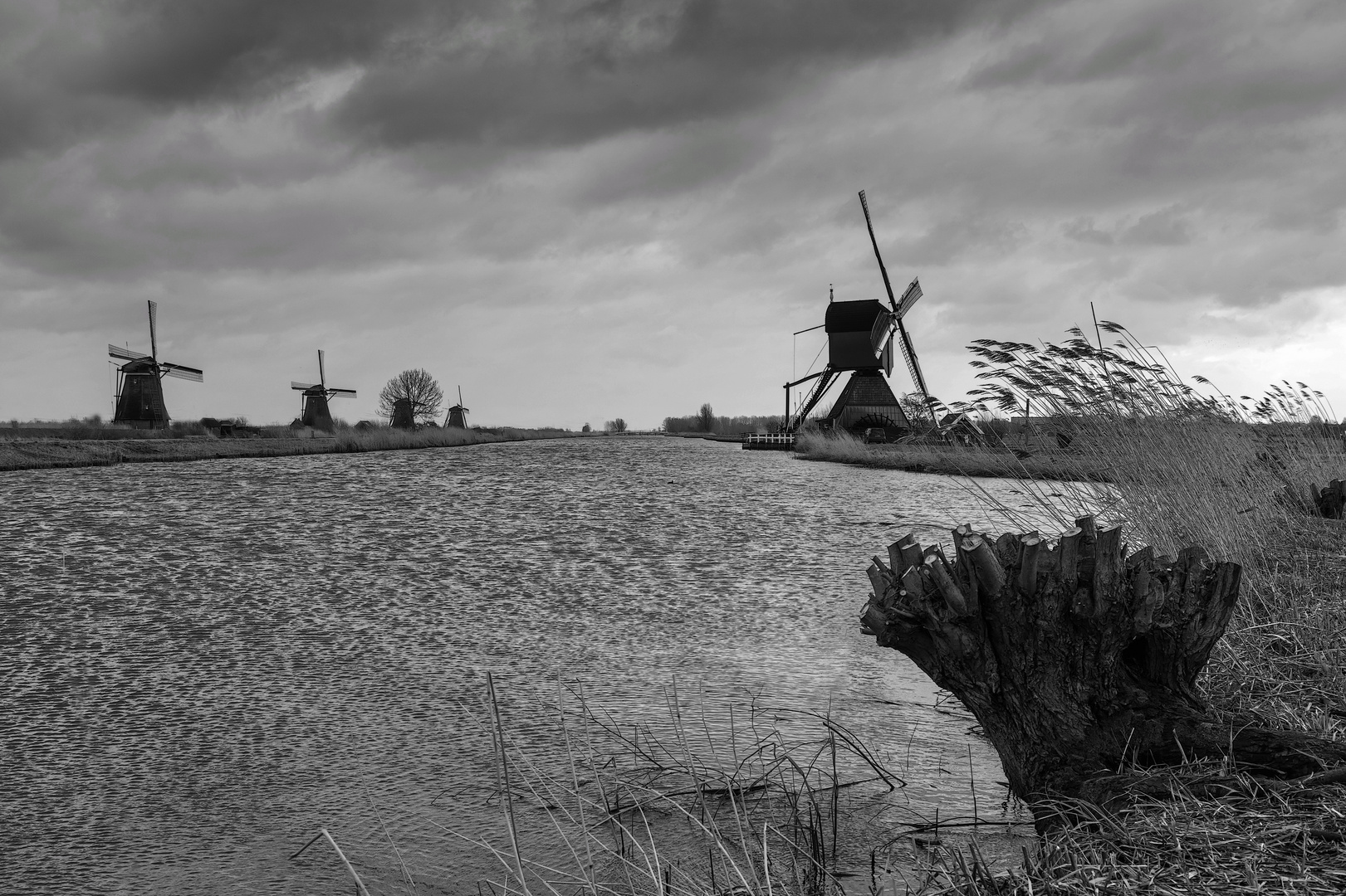 Kinderdijk